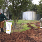 Spreading mulch. Cambridge Tree Trust